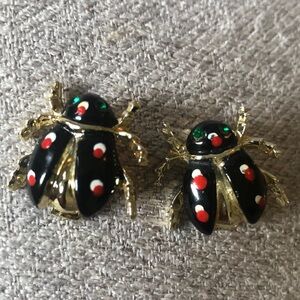 Matching Ladybug brooch pins